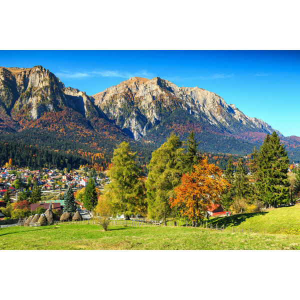 Millwood Pines " Wonderful Green Fields With Colorful Forest, Busteni